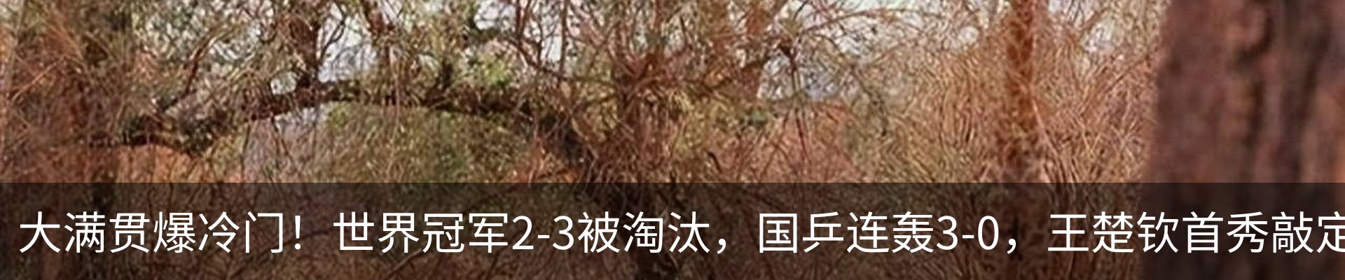 行业资讯